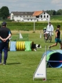 IMG_moosen-10-06-2017-K3Large034