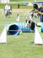 IMG_moosen-10-06-2017-K3Large038
