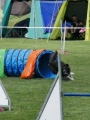 IMG_moosen-10-06-2017-K3Large080