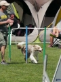 IMG_moosen-10-06-2017-K3Large083 IMG_moosen-10-06-2017-K3Large083
