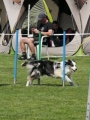 IMG_moosen-10-06-2017-K3Large094 IMG_moosen-10-06-2017-K3Large094
