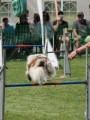 IMG_moosen-10-06-2017-K3Large108