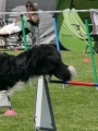 IMG_moosen-10-06-2017-K3Large113