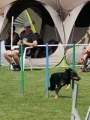 IMG_moosen-10-06-2017-K3Large119