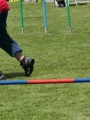 IMG_moosen-10-06-2017-K3Large125