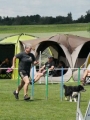 IMG_moosen-10-06-2017-K3Large133