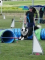 IMG_moosen-10-06-2017-K3Large150 IMG_moosen-10-06-2017-K3Large150