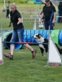 IMG_moosen-10-06-2017-K3Large153 IMG_moosen-10-06-2017-K3Large153