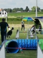IMG_moosen-10-06-2017-K3Large154 IMG_moosen-10-06-2017-K3Large154