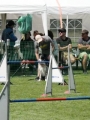IMG_moosen-10-06-2017-K3Large155 IMG_moosen-10-06-2017-K3Large155