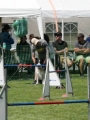 IMG_moosen-10-06-2017-K3Large156 IMG_moosen-10-06-2017-K3Large156