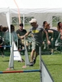 IMG_moosen-10-06-2017-K3Large157 IMG_moosen-10-06-2017-K3Large157