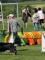 IMG_moosen-10-06-2017-K3Large158 IMG_moosen-10-06-2017-K3Large158