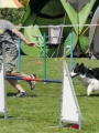 IMG_moosen-10-06-2017-K3Large160 IMG_moosen-10-06-2017-K3Large160