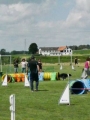 IMG_moosen-10-06-2017-K3Large165 IMG_moosen-10-06-2017-K3Large165