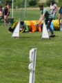 IMG_moosen-10-06-2017-K3Large250 IMG_moosen-10-06-2017-K3Large250