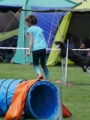 IMG_moosen-10-06-2017-K3Large267 IMG_moosen-10-06-2017-K3Large267