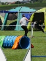 IMG_moosen-10-06-2017-K3Large275 IMG_moosen-10-06-2017-K3Large275