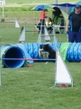 IMG_moosen-10-06-2017-K3Large330 IMG_moosen-10-06-2017-K3Large330