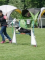IMG_moosen-10-06-2017-K3Large345
