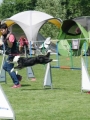 IMG_moosen-10-06-2017-K3Large346