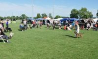 IMG_moosen_10-06-2017-sieg003
