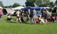 IMG_moosen_10-06-2017-sieg006