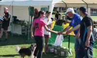 IMG_moosen_10-06-2017-sieg011
