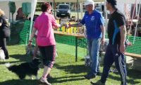 IMG_moosen_10-06-2017-sieg024