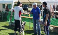 IMG_moosen_10-06-2017-sieg030