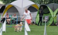 IMG_moosen-10-06-2017-KL-mini014