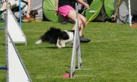IMG_moosen-10-06-2017-KL-mini023