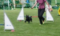 IMG_moosen-10-06-2017-KL-mini028