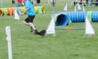 IMG_moosen-10-06-2017-KL-mini078