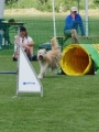 IMG_moosen-10-06-2017-KL-mini017