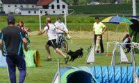 IMG_moosen-10-06-2017-K3L-mini009
