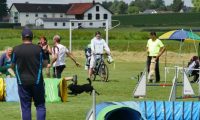 IMG_moosen-10-06-2017-K3L-mini010