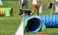 IMG_moosen-10-06-2017-K3L-mini013