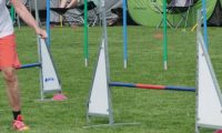IMG_moosen-10-06-2017-K3L-mini017