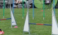 IMG_moosen-10-06-2017-K3L-mini018