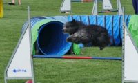 IMG_moosen-10-06-2017-K3L-mini019