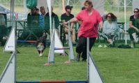 IMG_moosen-10-06-2017-K3L-mini021