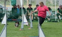 IMG_moosen-10-06-2017-K3L-mini022