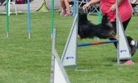 IMG_moosen-10-06-2017-K3L-mini023