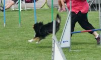 IMG_moosen-10-06-2017-K3L-mini024
