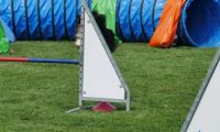 IMG_moosen-10-06-2017-K3L-mini025