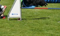 IMG_moosen-10-06-2017-K3L-mini033