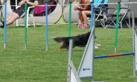 IMG_moosen-10-06-2017-K3L-mini036