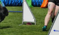 IMG_moosen-10-06-2017-K3L-mini038