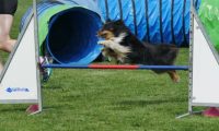 IMG_moosen-10-06-2017-K3L-mini040